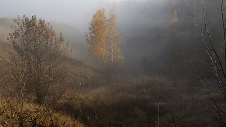 Предстоящие выходные в России обещают быть аномально жаркими
