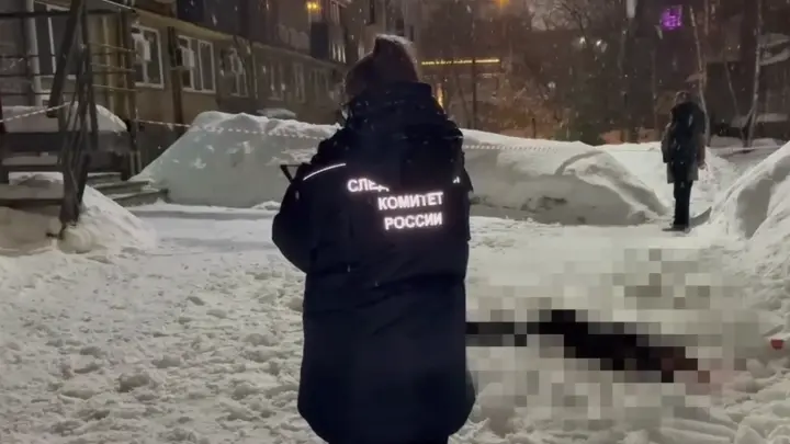 Девушка погибла от упавшей с крыши глыбы льда в Нижнем Новгороде