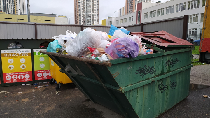 Мы растем между свалок: родители вывели детей против мусорного полигона в Дубровке