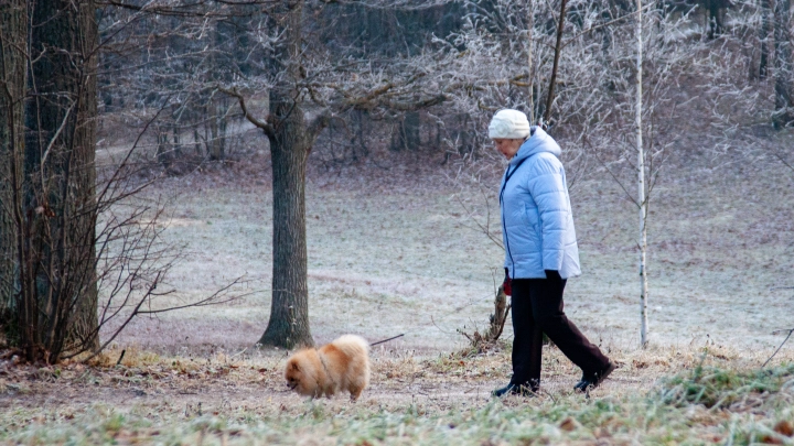 Между осенью и зимой: 4 ноября в Челябинской области похолодает