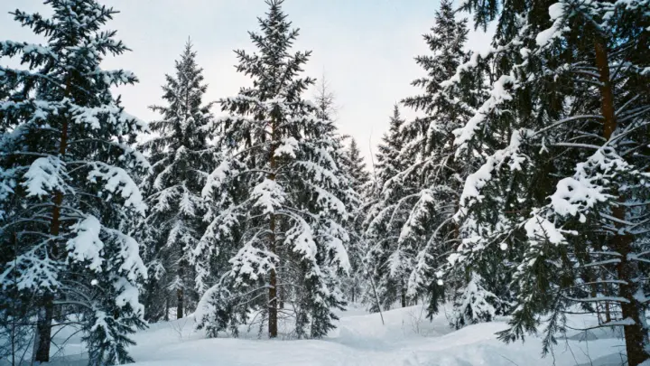 Австриец-путешественник рассказал, как пережил сибирские морозы