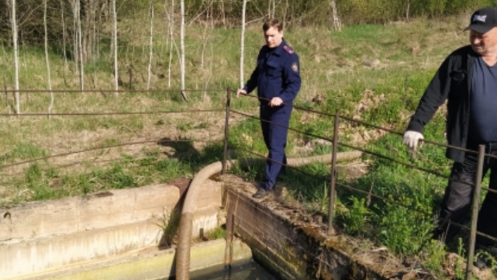 Убийство из-за денег: стало известно, кто спрятал тело женщины-врача на дне озера под Петербургом