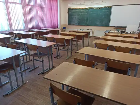 В Кузбассе 7 школ и 2 детсада ушли на карантин из-за пневмонии