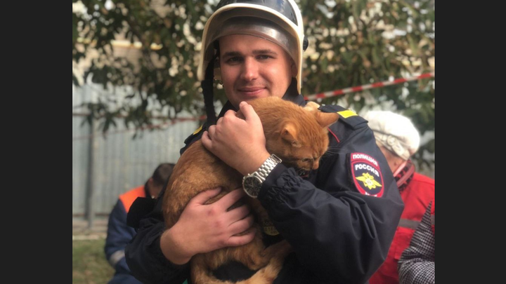 На развалинах пострадавшего во время авиакатастрофы дома в Ейске полицейский нашёл выжившего котика