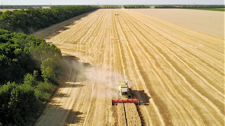 В Краснодаре завершили уборку урожая