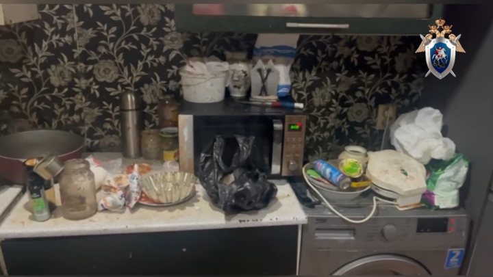 СК озвучил результаты экспертизы продуктов из дома отравившейся под Красноярском семьи