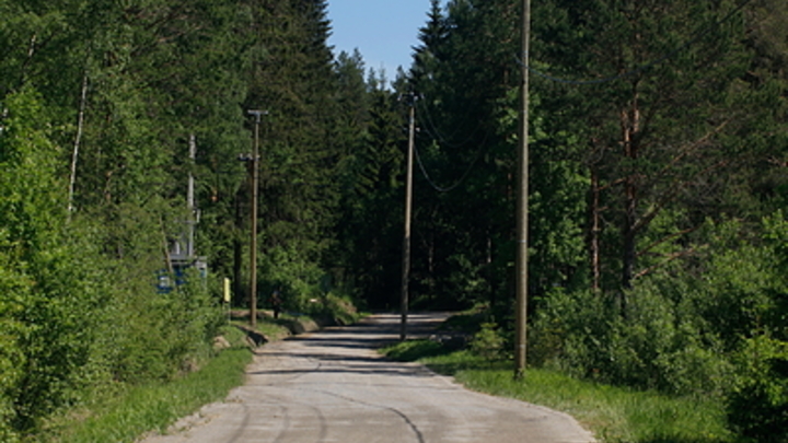 Чиновники объявили войну клещам в парках Подмосковья