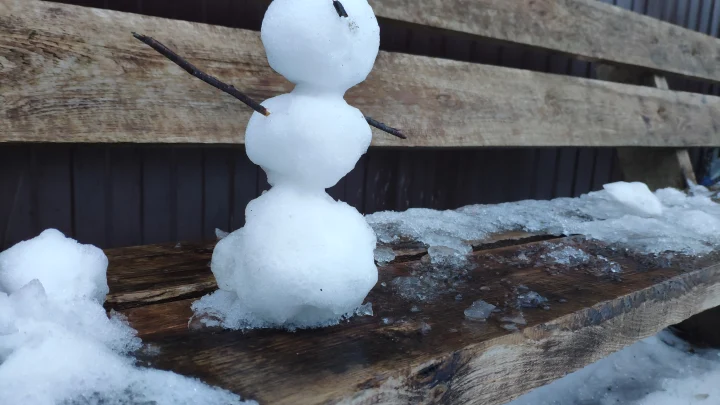 Специалисты назвали сроки пробуждения клещей в Поморье
