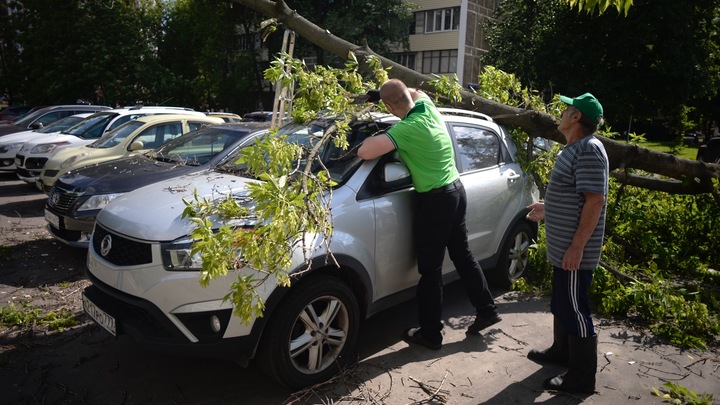 Из-за непогоды повреждения получили 29 автомобилей в Москве