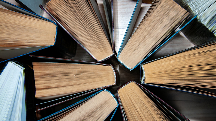 Определён символ Книжного салона - 2023. Чижик-пыжик проиграл