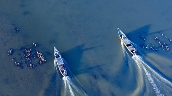 Русские войска уничтожили 20 диверсантов ВСУ при попытке занять Кинбурнскую косу