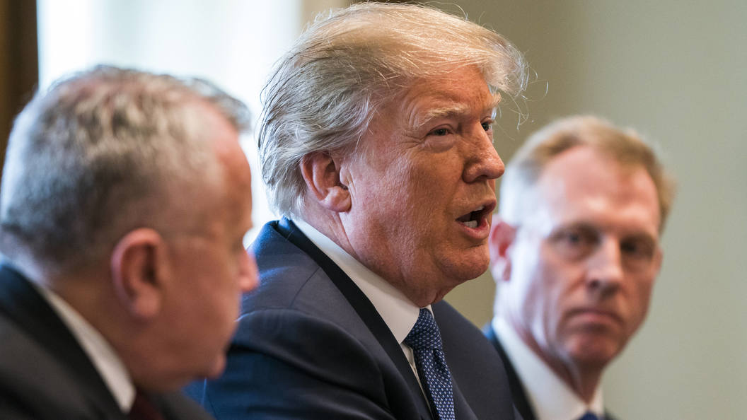 Не конь, а Трамп: Пальто президента США стало мемом в соцсетях Не конь, а Трамп: Пальто президента США стало мемом в соцсетях