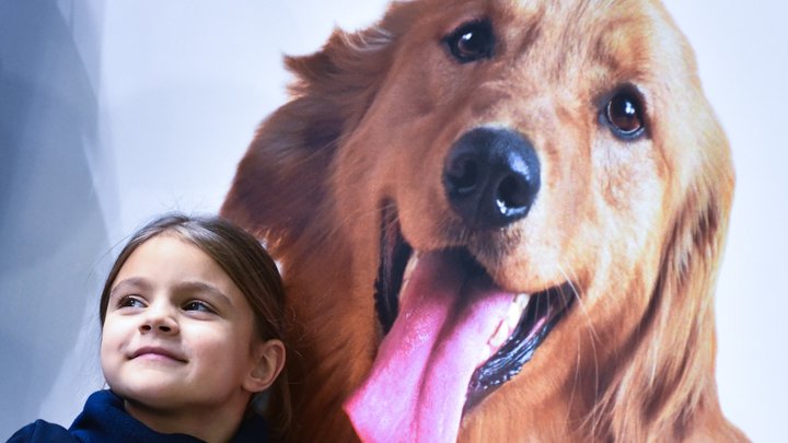 Гранты мэра Москвы получили инициативы благотворительной доставки еды и спасения животных