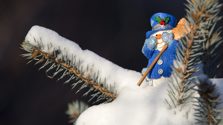 Рубль нанесёт удар по Новому году? Эксперты предсказали рост цен на ёлочные игрушки