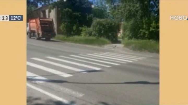 Пешеходный переход в никуда появился на одной из улиц Новокузнецка