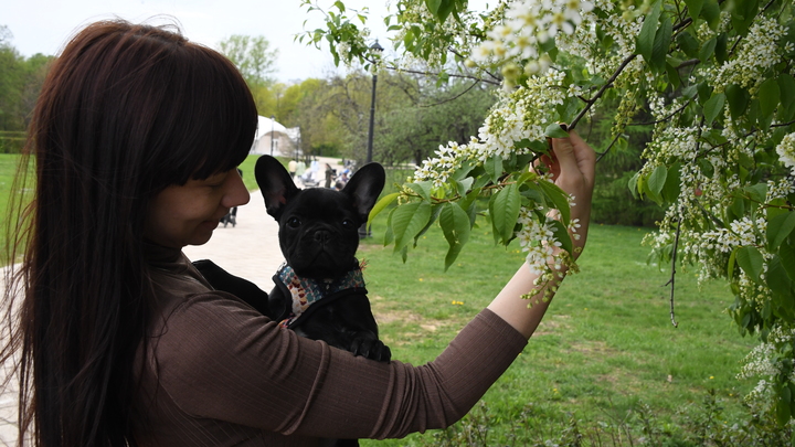 Они уже появились в лесах: Владельцев питомцев предупредили о скрытой опасности
