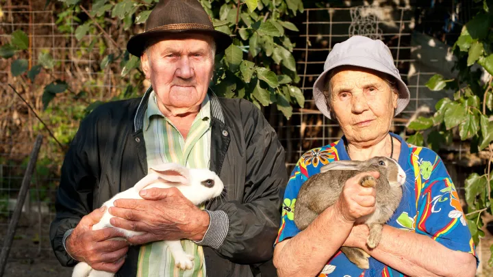 Социальный фонд посчитал, насколько выросла пенсия работающих жителей России за год