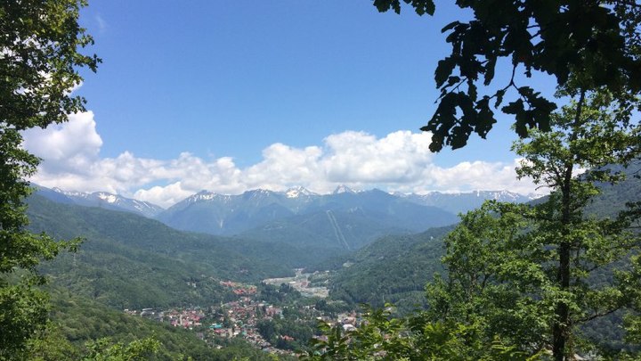 Спасатели вывели из леса четверых туристок, заблудившихся на Красной Поляне