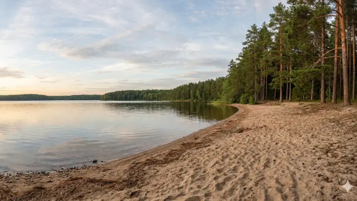 Базу отдыха Озеро Круглое в Химках продали за сотни миллионов: что тут будет