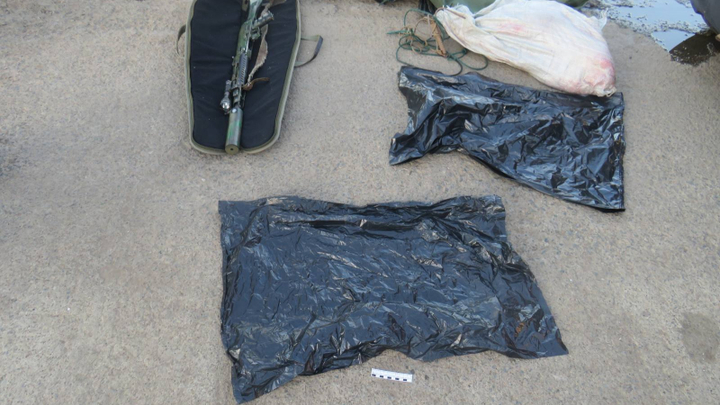 В Самарской области незаконно охотились на пятнистого оленя