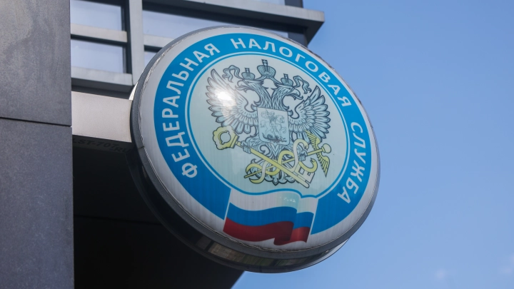 Налоговая начала массовые проверки неработающих граждан на нетрудовые доходы