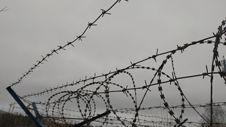 Подозреваемый в серии убийств ярославский учёный попал в больницу Матросской Тишины