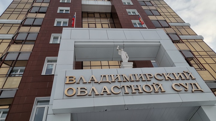 Во Владимире будут судить душевнобольную мать, убившую ребенка