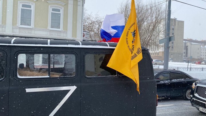 Чайки - точно русские: в Крыму стая птиц выстроилась в форме буквы Z