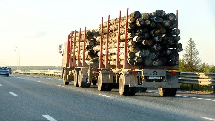 Многомиллионный распил: Чиновника Минобороны арестовали за махинации с пиломатериалами для СВО