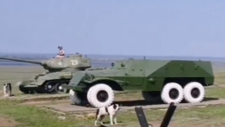 В МВД раскрыли подробности инцидента с туристами, которых алабаи загнали на танк под Темрюком