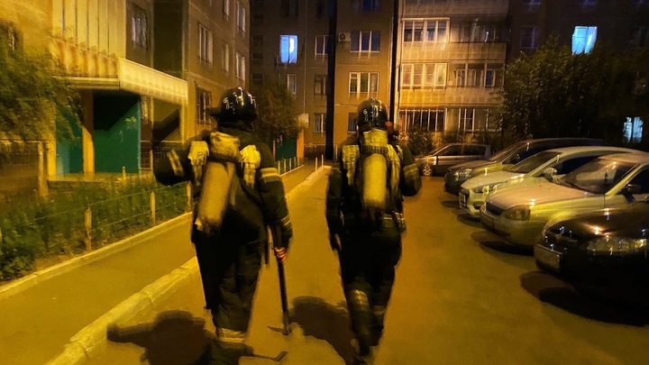 Два мужчины заживо сгорели в доме в Челябинской области