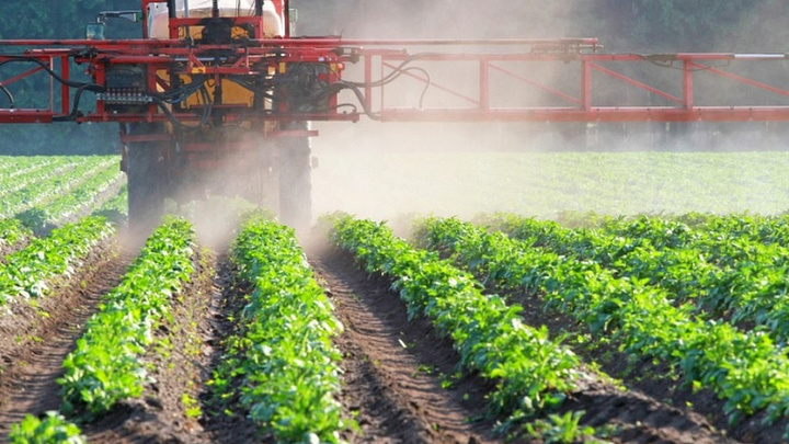 На Кубани производители учатся по программе «Акселератор экспортного роста»