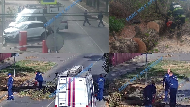 Сильный ветер повалил деревья и привёл к массовым отключениям света в Краснодаре