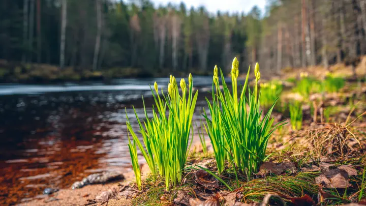 Как отдыхаем на майские? Это будут самые короткие за 8 лет праздничные дни весной