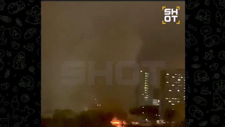 Дым над академией: в Тимирязевском университете вспыхнул птичник