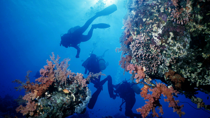 Роковая случайность или преступная халатность? После смерти туриста на дайвинге вопросов всё больше