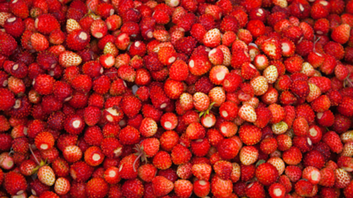 Диетолог: Земляника - это суперпища России