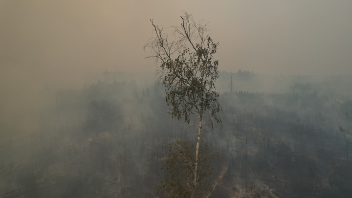 Жителям Урала посоветовали снова надеть маски. Уже не из-за COVID