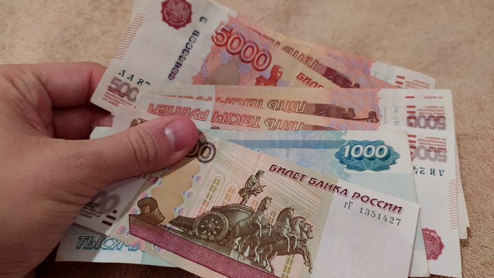 Учительницу из Балашихи подозревают в многомиллионном мошенничестве на Wildberries