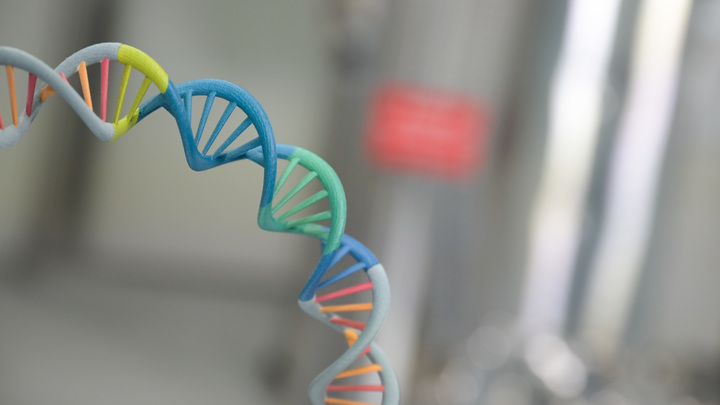 Русские учёные нашли в ДНК причину устойчивости раковых клеток к препаратам