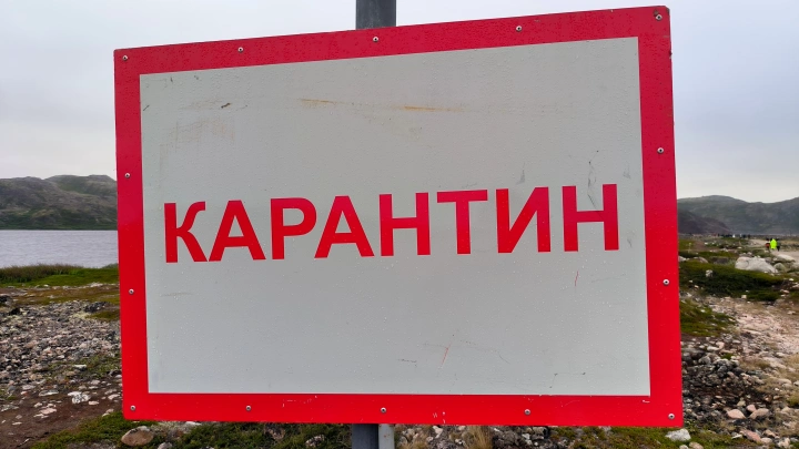 Ещё в трёх населённых пунктах Новосибирской области выявили бешенство