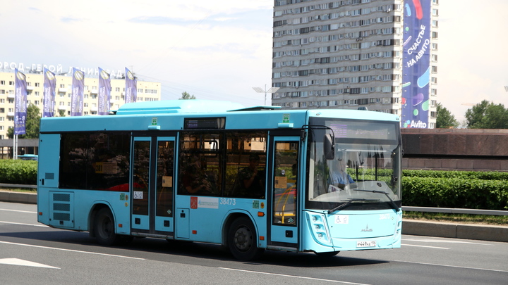 Мигранту, разбившему окно водителю автобуса битой в Петербурге, грозит три года тюрьмы