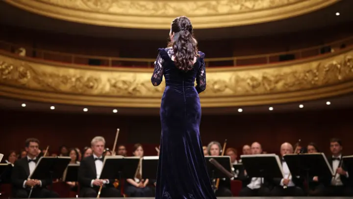 Анна Нетребко экстренно закрывает ИП в России из-за долга