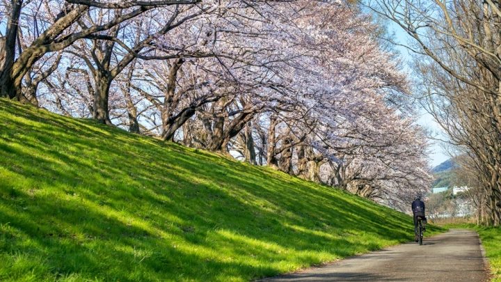 Какие мероприятия в рамках Лета в Москве пройдут для детей в начале сентября