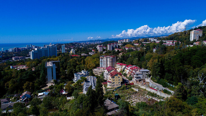 Глава Сочи проверит законность строительства в лесном массиве Бытхи