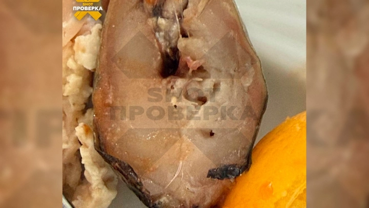 «Наелись паразитов» :туристов из России накормили рыбой с червями в Египте - видео