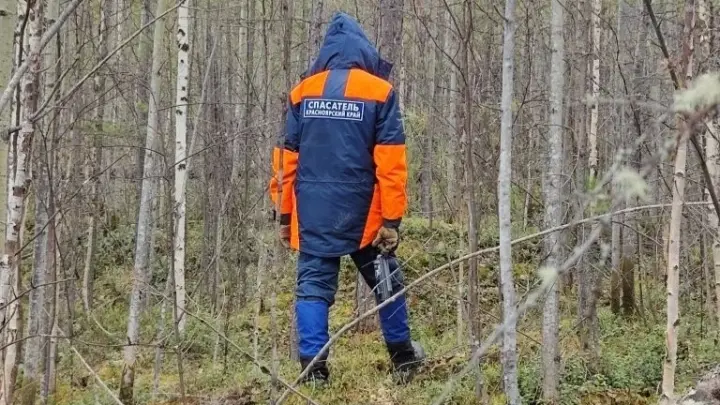 Два дня новых поисков пропавшей семьи Усольцевых результатов не дали