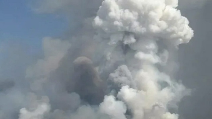 Клинцевич: США начали большую зачистку на Украине