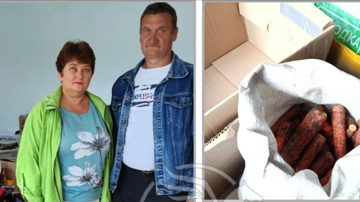 Принесли морковь и капусту: челябинские садоводы помогают продуктами бойцам на СВО
