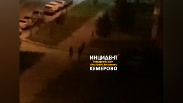 Ночную потасовку со стрельбой очевидцы сняли на видео